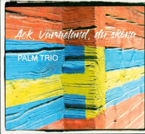 PALM-TRIO-Ack-Vaermeland 2025